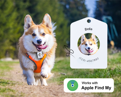 pet finder