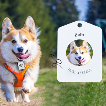 Pet finder